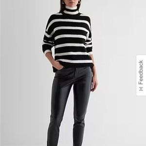 Express Plush Sweater